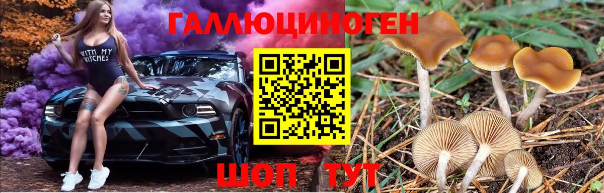 Псилоцибиновые грибы Cubensis  Вход с VPN  Тамбов 