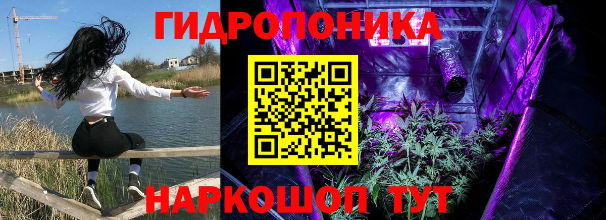 Тамбов  Бошки марихуана SATIVA & INDICA  Марихуана Bruce Banner  Вход с VPN  Бошки Шишки гибрид 
